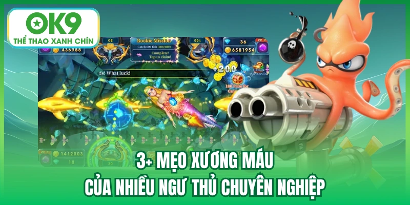 3+ mẹo xương máu của nhiều ngư thủ chuyên nghiệp